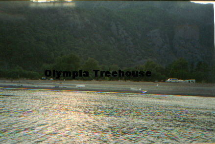 Olmpiatreehouse2.jpg (109696 bytes)