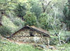 mill.jpg (23960 bytes)