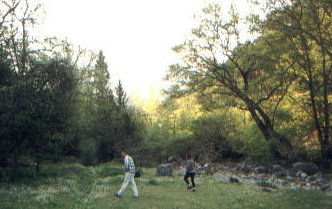 ulupnar bed.jpg (21968 bytes)